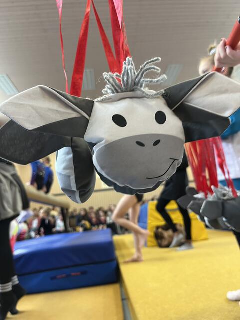 Foto: Turn-Team Sickingen