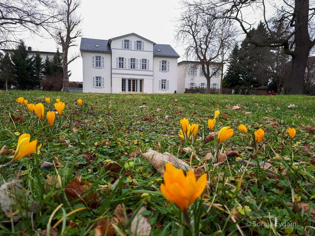 Erste Farbkleckse im Limburgerhofer Park | Foto: Soraja Eydam