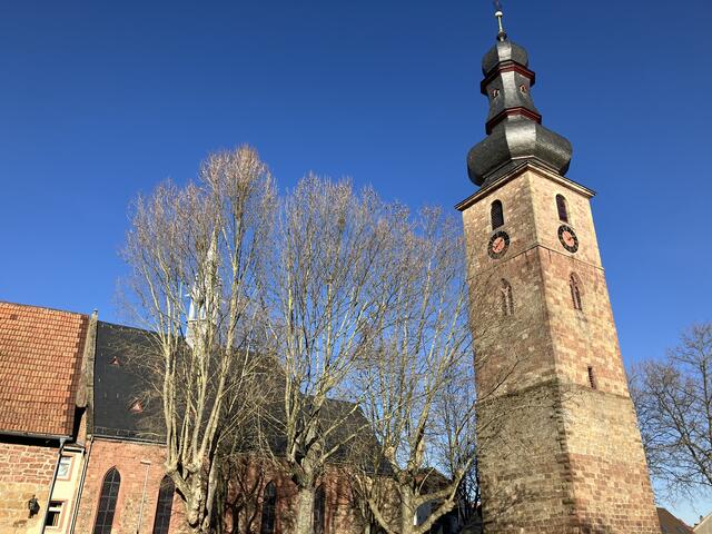Im Hintergrund ist die Marktkirche zu sehen | Foto: B. Bender