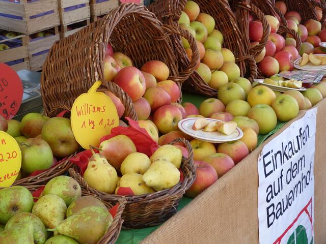 Auch 2024 findet aus Anlasse des Obst- und Gemüsetages in Schifferstadt ein verkaufsoffener Sonntag statt. Der Obst- und Gemüsetag ist mehr als ein Bauernmarkt, denn er steht ganz im Zeichen gesunder Ernährung und stellt die Bedeutung der lokalen Landwirtschaft in den Mittelpunkt. | Foto: Stadtverwaltung Schifferstadt