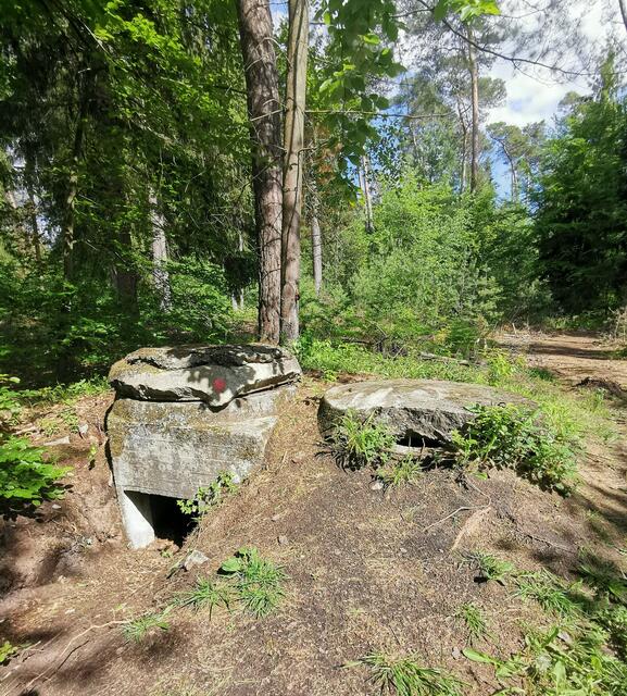 Ein-Mann-Bunker
Erich Koch, der Gauleiter von Ostpreußen, 'erfand' den Ein-Mann-Bunker, den man deshalb auch „Kochbunker“ nannte. Das Bauwerk sollte einem Panzerfaust -Schützen Unterschlupf biete. Im Herbst 1944 wurden im Bienwald noch viele dieser Bauwerke gegraben, kamen aber kaum noch zum Einsatz, da eine da bereits Verteidigung aussichtslos war.  | Foto: Heike Schwitalla