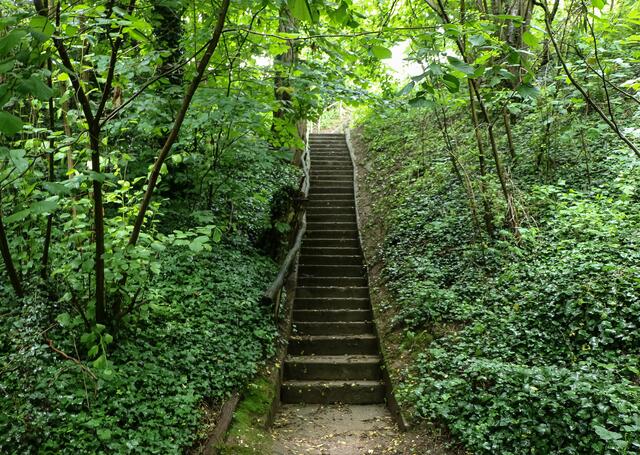 Lag um 1500 Lingenfeld noch sage und schreibe zwei Kilometer vom Rhein entfernt, so hat sich der Fluss (der Altrhein) bis heute dem Dorf bis fast an den Bahnhof genähert. Um das von Fluten bedrohte Lingenfeld zu schützen, verkürzte und begradigte man die  Rheinschleife vor Rheinsheim. Das führte aber regelmäßig zu unkontrollierbarem Hochwasser - Uferabbrüche waren die Folge. | Foto: Heike Schwitalla