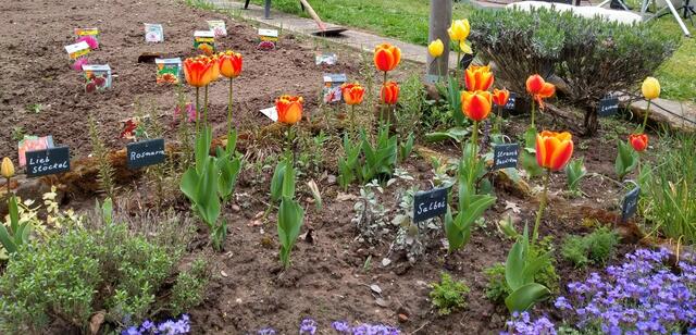 Foto: Ursula Anstett