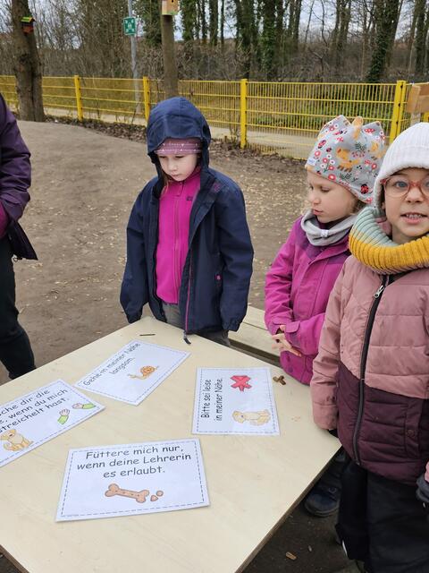 Füttern, rennen, laut sein: Mit den Tieren lernen die Kinder Verantwortung zu übernehmen. | Foto: Stadtverwaltung Schifferstadt