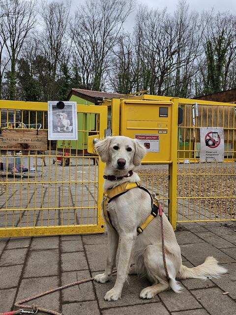 Bitte recht freundlich: Begleithund Jette vor dem Eingang zur Kita am Wald- | Foto: Stadtverwaltung Schifferstadt