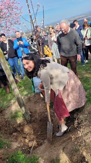 Auch Mandelblütenkönigin Erva Satun musste kräftig anpacken. | Foto: Markus Pacher
