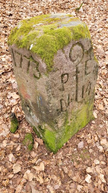 Uralte Grenzsteine aus dem 18. Jahrhundert säumen den unspektakulär, parallel zur B 48 führenden Waldpfad Richtung Eschkopf. Krummstab und die Buchstaben PE verweisen auf die Propstei Eußerthal. | Foto: Markus Pacher