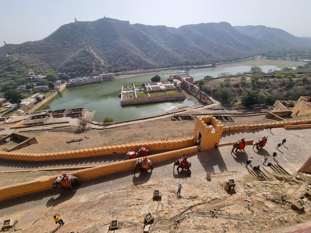 Hoch zur Festung Amber bei Jaipur geht es auch auf dem Rücken von Elefanten | Foto: © www.jowapress.de