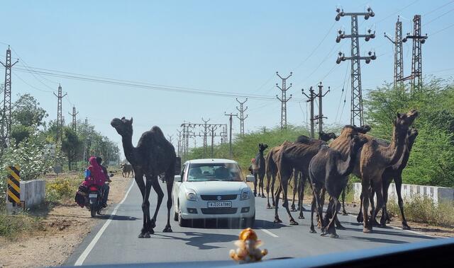Unterwegs in Rajasthan | Foto: © www.jowapress.de