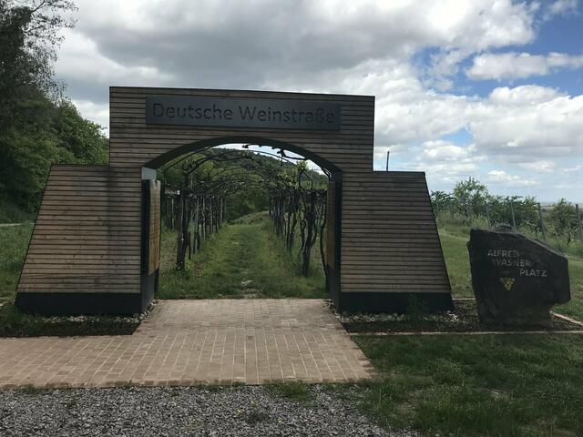 Das kleine Weintror am ersten Deutschen Weinlehrpfald | Foto: B. Bender