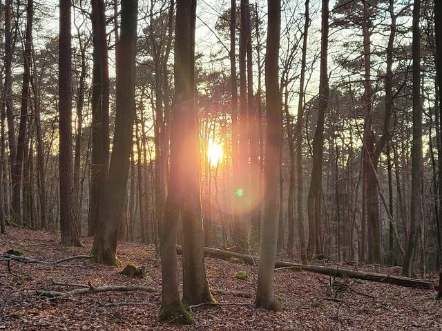 Sonnenuntergang bei Johanniskreuz | Foto: Markus Pacher