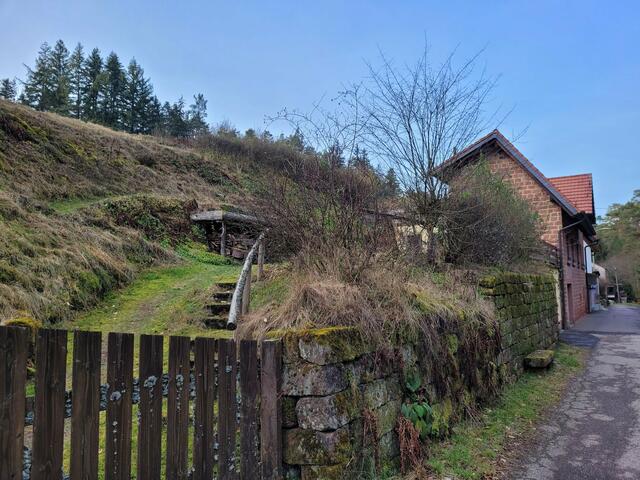 Erlenbach | Foto: Markus Pacher