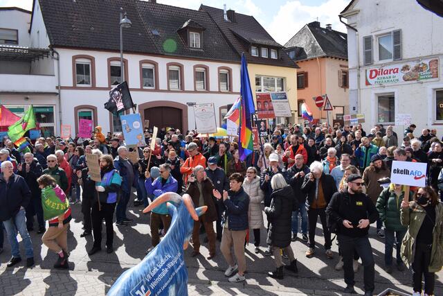 Fahnen und Parolen gegen Rechtspopulismus | Foto: Bender