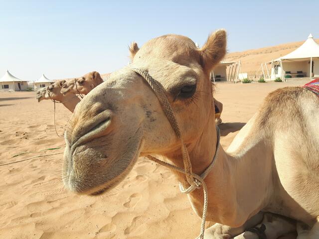 Kurze Pause | Foto: © www.jowapress.de