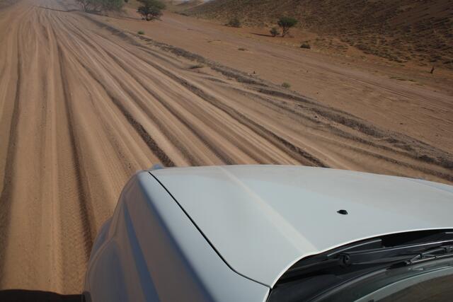 Wenn weit und breit nichts zu sehen ist, sollte man den Spuren folgen | Foto: © www.jowapress.de