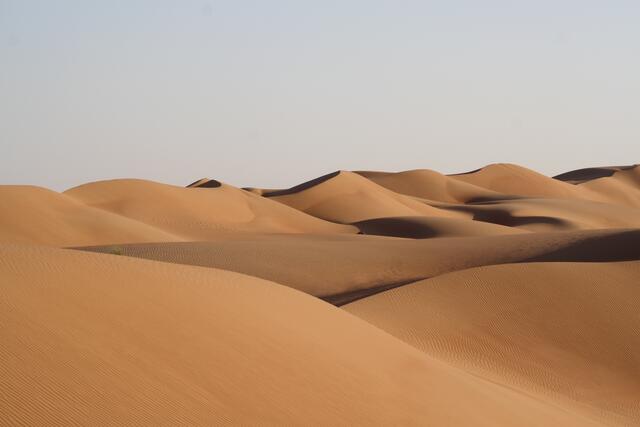 Beeindruckende Muster und Formen | Foto: © www.jowapress.de