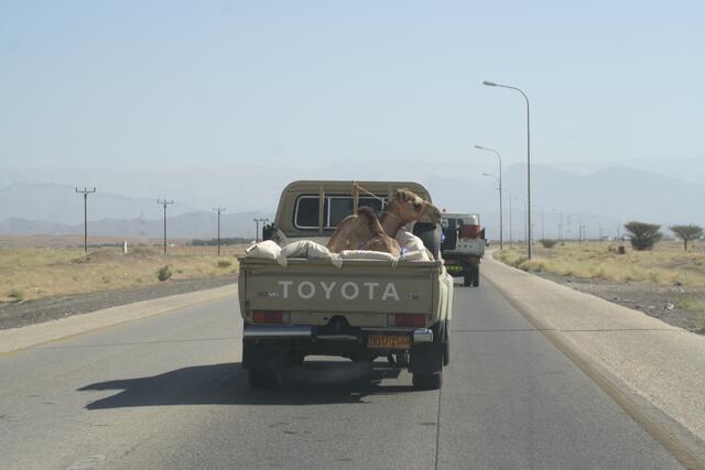 Auch eine Transportmöglichkeit | Foto: © www.jowapress.de