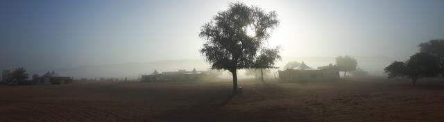 Morgennebel im Wüstencamp zwischen Dünen | Foto: © www.jowapress.de