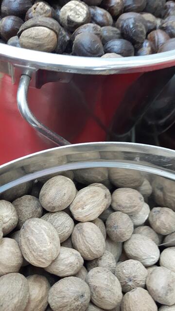 Natürlich Muskatnüsse in Muscat | Foto: © www.jowapress.de