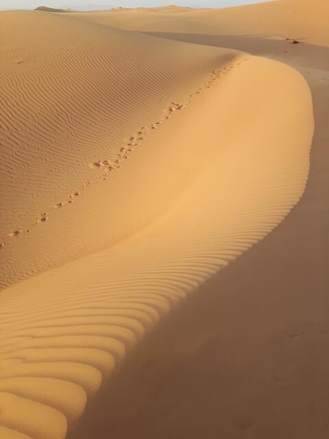 Unterwegs in der Wüste | Foto: © www.jowapress.de