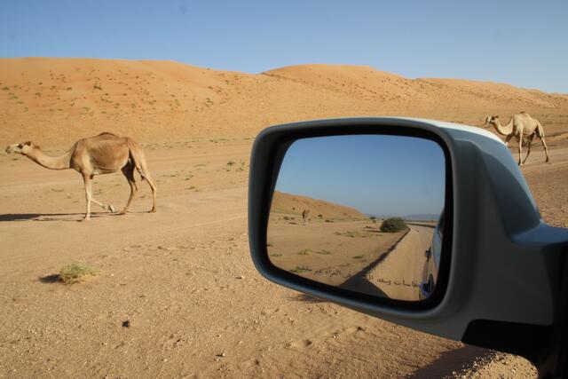 Gegenverkehr | Foto: © www.jowapress.de