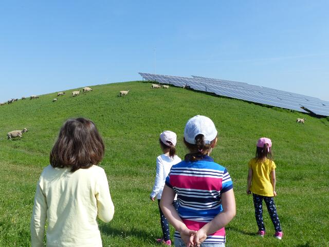 Der Sonnenberg in Speyer | Foto: SWS
