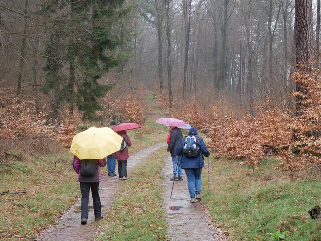Auf dem Rückweg | Foto: Ich