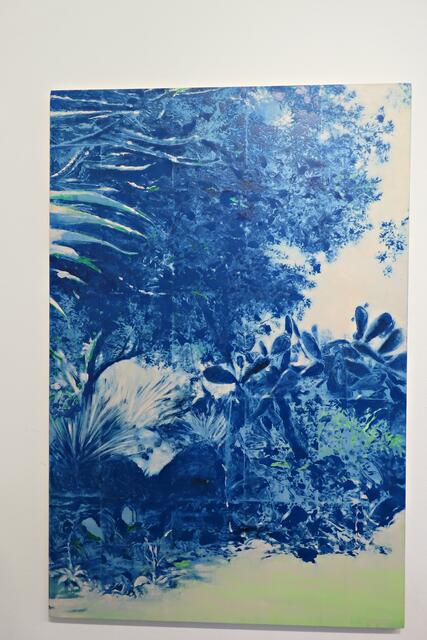 Blue Shade | Foto: Brigitte Melder