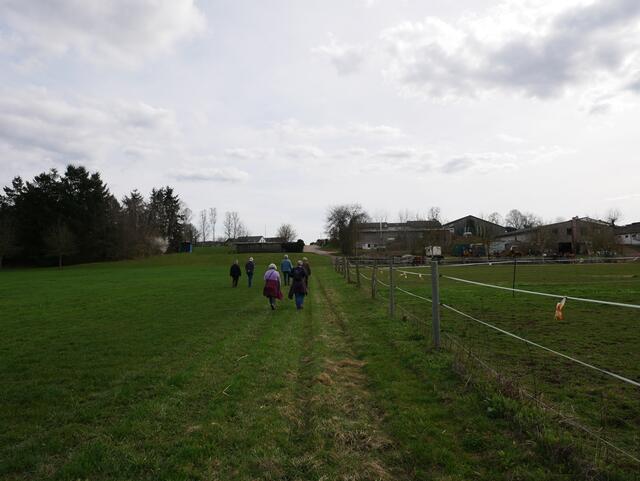 Ziel in Sicht | Foto: Ich