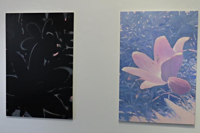 Black Lily und Violet Lily | Foto: Brigitte Melder