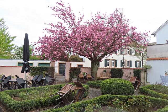 Blick in den Garten im Frühling | Foto: Brigitte Melder