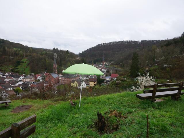 Lindenbaum mit Mandelblüten? | Foto: Ich
