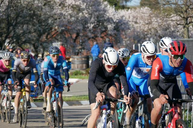 Foto: Dieter Hammann