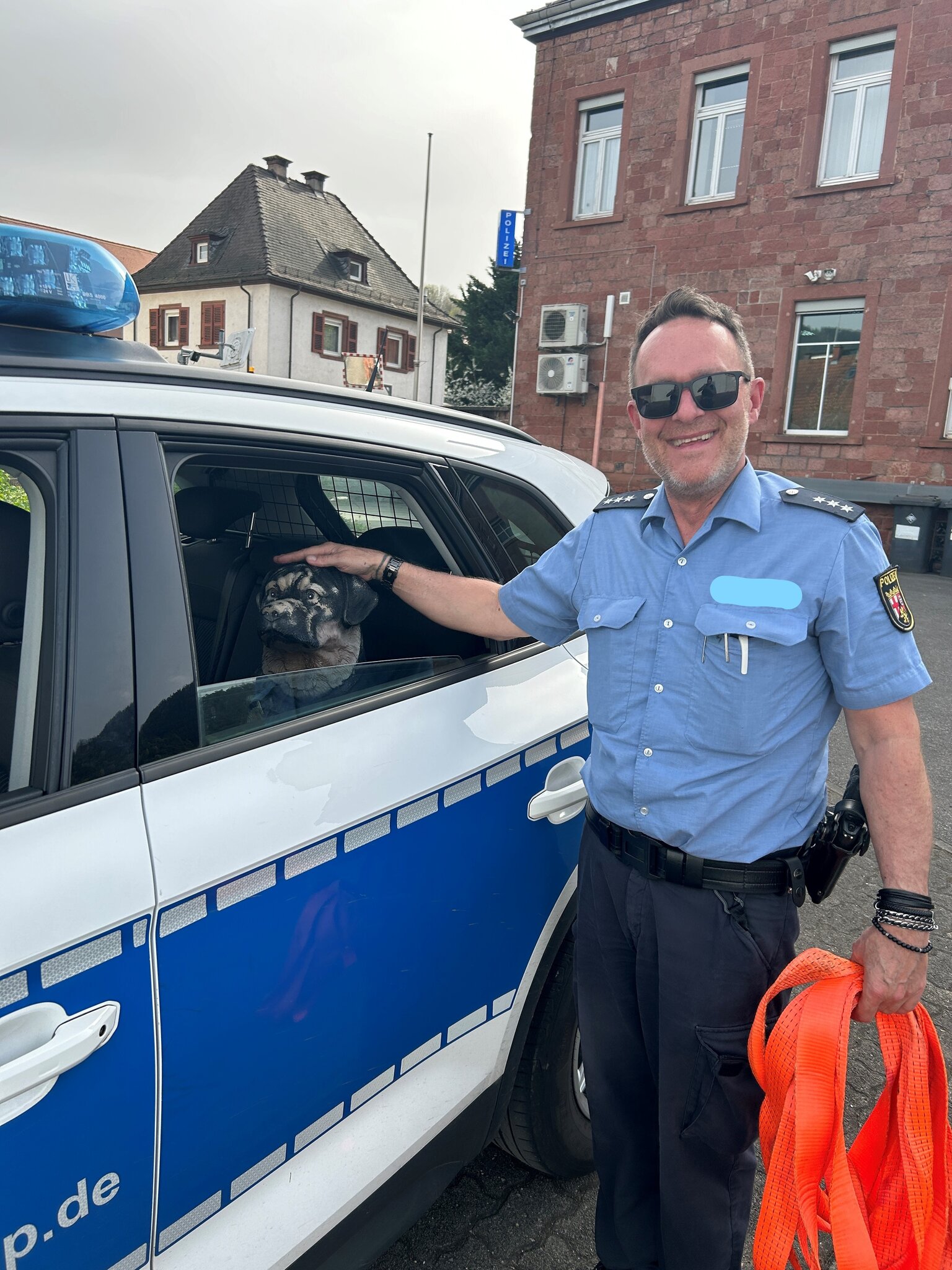 Toter Hund auf dem Parkplatz der B10 am Barbarossatunnel Annweiler