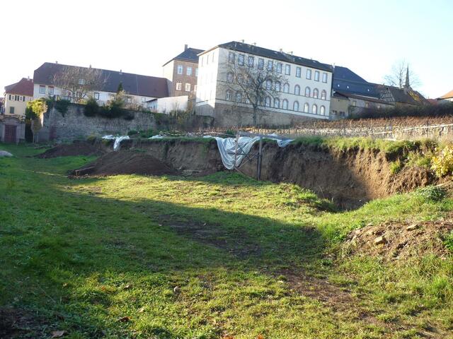 Der barocke Terrassengarten in Kirchheimbolanden zu Beginn der Arbeiten. Ober ist noch der Weinberg | Foto: Silvia Heilmann