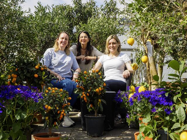 Gartencenter Kaiserslautern: Manuela Göttel (Mitte) mit den Mitarbeiterinnen Miriam Yazdi (links) und Barbara Zidek | Foto: Feindel