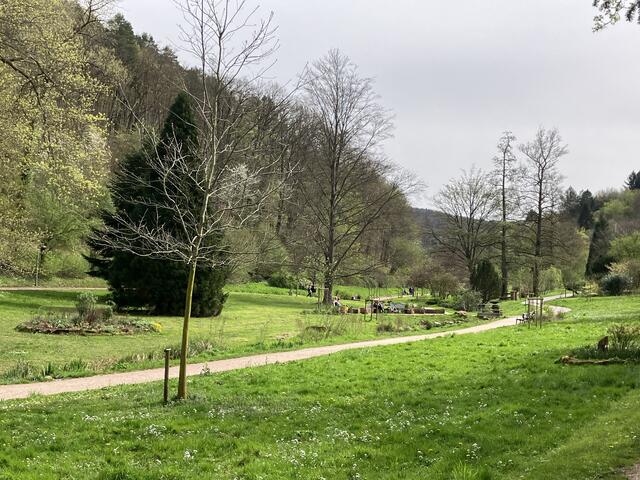 Auch die Markwardanlage wurde neu gestaltet | Foto: B. Bender