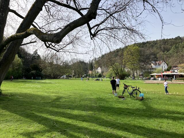 Die große Wiese im Kurpark lädt zu sportlichen Aktivitäten oder zum Picknick ein | Foto: B. Bender