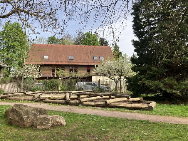 Baumstamm-Mikado | Foto: B. Bender