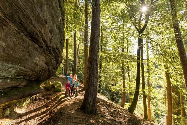 Felsenglück am Wasgauer Höhenweg | Foto: Christian Fernandez Gamio