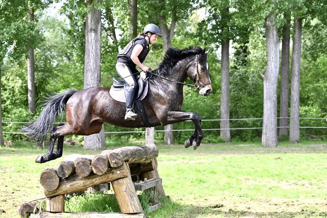 Foto: Helmfried Schneider