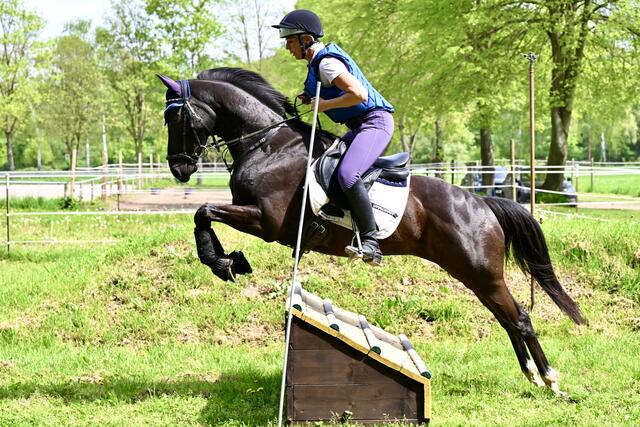 Foto: Helmfried Schneider