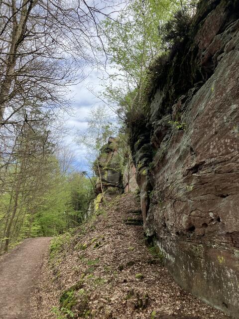 Auf dem Weg im Pfälzerwald | Foto: B. Bender