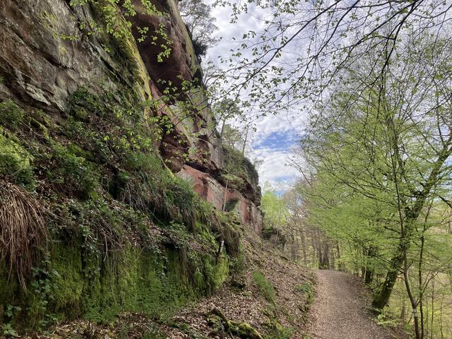 Der Felsen ist insgesamt 180 Meter lang | Foto: B. Bender