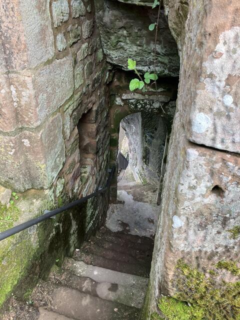 Hauptein- und ausgang zur Falkenburg | Foto: B. Bender