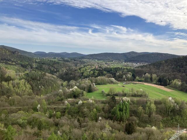 Ausblick in den Süden  | Foto: B. Bender