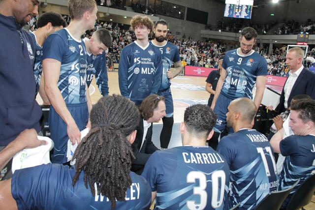 Foto: Michael Sonnick