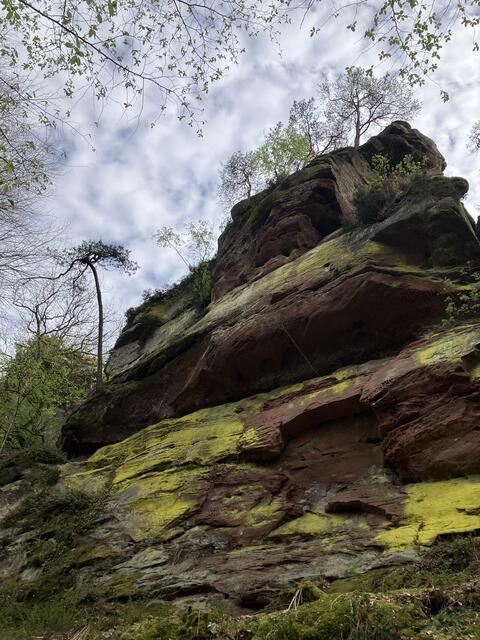 Wunderwerk Natur | Foto: B. Bender
