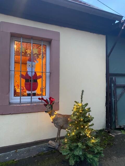 Lebendige Adventskalender - vom Jugendtreff gestaltetes Fenster | Foto: Ida Seib