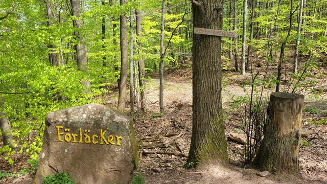 Wanderkreuzung Förläcker, auch genannt Hexentanzplatz | Foto: Markus Pacher
